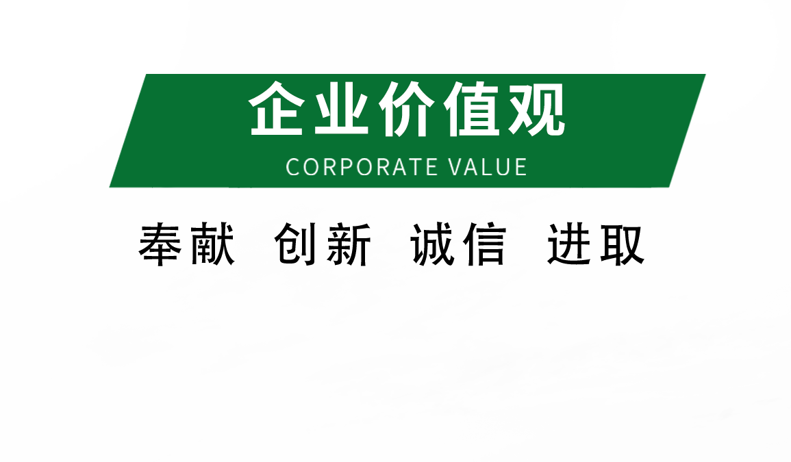 企业价值观