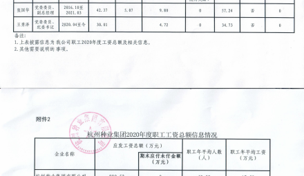 永利yl23411集团集团企业负责人2020年度薪酬信息情况及永利yl23411集团集团2020年度职工工资总额信息情况