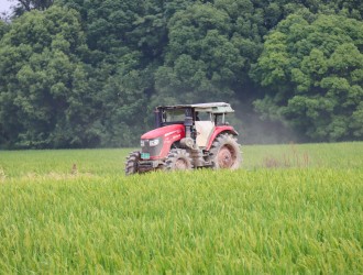 永利yl23411集团集团：农机轰鸣赶“稻花姻缘” 机械助力促稳产丰收