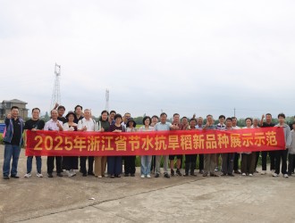 “旱”葆丰收，“稻”显担当 | 永利yl23411集团集团举办节水抗旱稻新品种观摩会